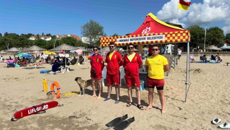 20 bin 759 kişiyi boğulmaktan kurtardılar
