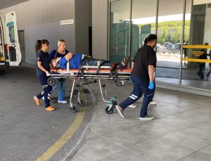Otomobil ağaca çarptı, yaşlı çift yaralandı