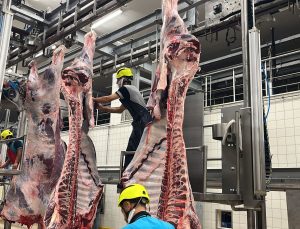 Sakatatları açık halde çöpe atmayın