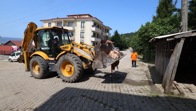 Başiskele´de Kurban Atıkları Hızla Toplanıyor