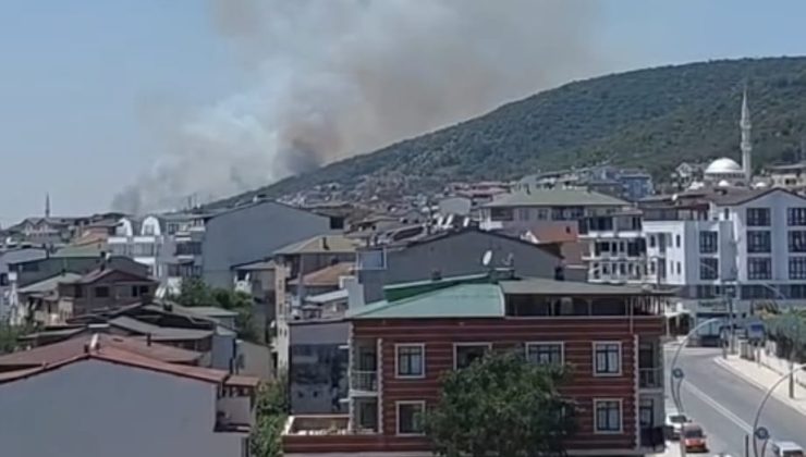 Körfez’de Orman Yangını