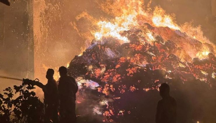 Sakarya’daki Orman Yangınına “Eski Yatak” Sebep Oldu: 1 Kişi Tutuklandı