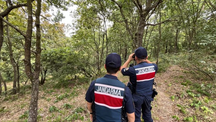 Jandarma, Kocaeli’nin Ormanlarında Görev Başında