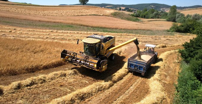 Tarımda verimlilik Büyükşehir’le artıyor