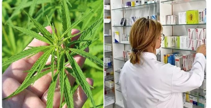 Tıbbi Kenevir Ürünlerinin Eczanelerde Satışı Yasal Hale Geldi