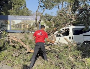 Gebze’de Şiddetli Rüzgar Aracın Üzerine Ağaç Devrildi
