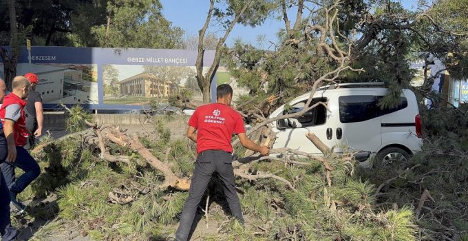 Gebze’de Şiddetli Rüzgar Aracın Üzerine Ağaç Devrildi