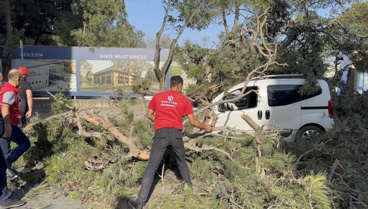 Gebze’de Şiddetli Rüzgar Aracın Üzerine Ağaç Devrildi