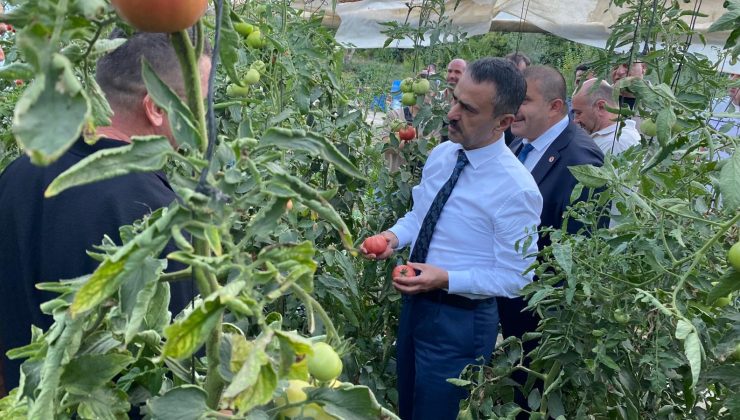 Vali İlhami Aktaş’tan Çayırköy’de Üretici Ziyareti
