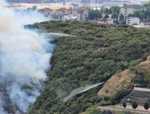 İzmit’te Ormanlık Alanda Yangın: Kontrol Altına Alındı