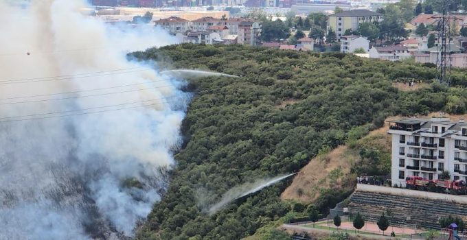 İzmit’te Ormanlık Alanda Yangın: Kontrol Altına Alındı
