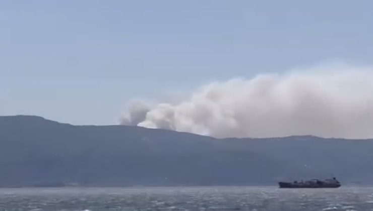 Karamürsel’de Orman Yangını