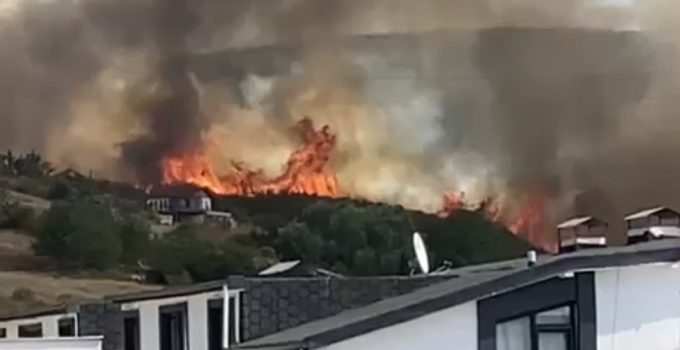 Derince Çınarlı’da Orman Yangını