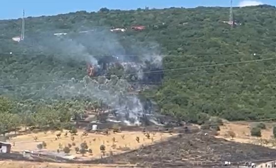 Derince’de İki Gün Önce Yanan Yer,Yeniden Alev Aldı