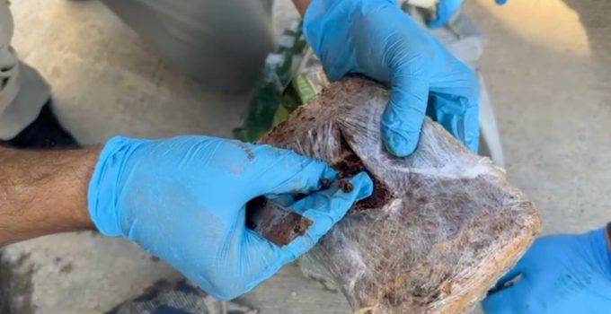 Kocaeli’de Pul Biber Paketlerinden Eroin Çıktı: 2 Kişi Tutuklandı