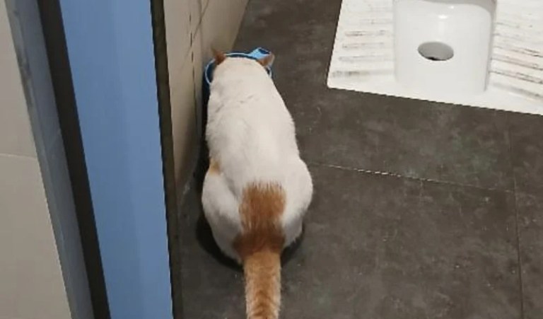 Kocaeli Şehir Hastanesi’nde Şaşırtan Görüntü!