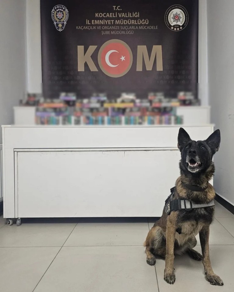 Kuzey Marmara Otoyolu’nda kaçak elektronik sigara operasyonu!