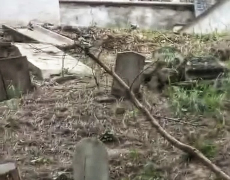 İzmit Asri Mezarlığı’ndaki ağaçlar mezarları tahrip etti