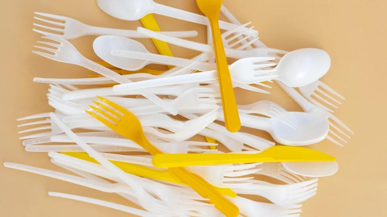 Tek Kullanımlık Plastiklere Yasak Geliyor: Hedef 1,5 Milyar TL Tasarruf